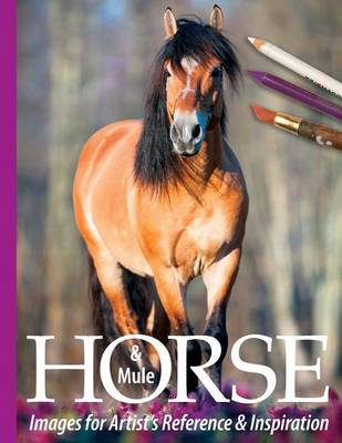 Book cover for Horse and Mule Images for Artist's Reference and Inspiration