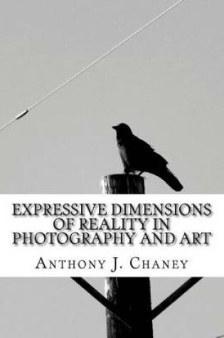 Cover of Expressive Dimensions of Reality in Photography and Art