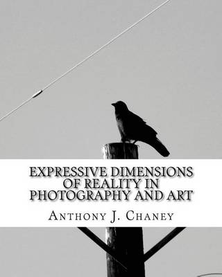 Book cover for Expressive Dimensions of Reality in Photography and Art