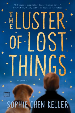 Book cover for The Luster of Lost Things