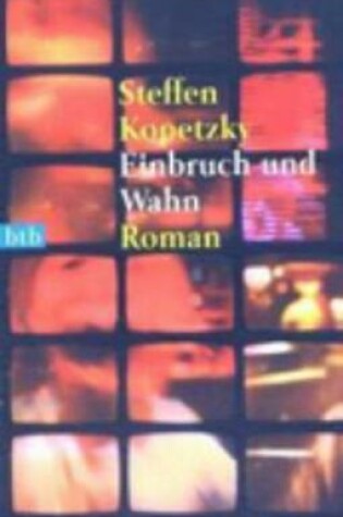 Cover of Einbruch Und Wahn