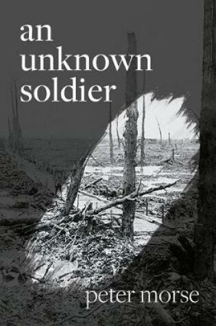 Cover of An Unknown Soldier