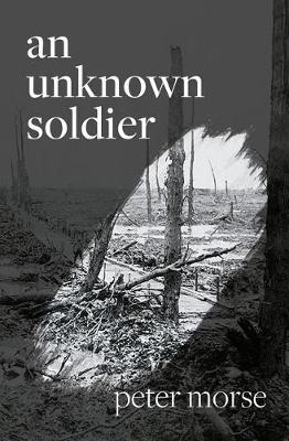 Book cover for An Unknown Soldier