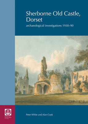 Book cover for Sherborne Old Castle, Dorset