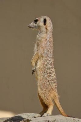 Book cover for Meerkat Standing at Full Alert Journal