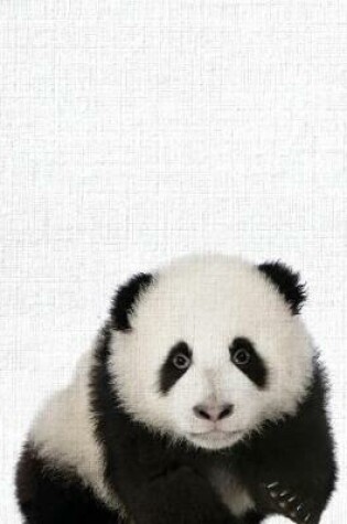 Cover of Cute Animal Composition Book Panda