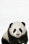 Book cover for Cute Animal Composition Book Panda