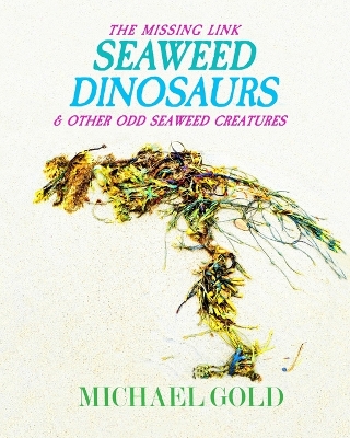 Book cover for Seaweed Dinosaurs