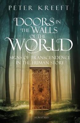 Book cover for Doors in the Walls of the World