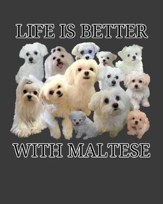 Book cover for Life Is Better With Maltese