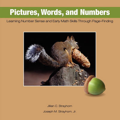 Book cover for Pictures, Words, and Numbers