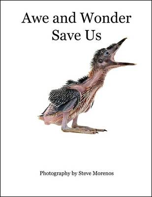 Book cover for Awe and Wonder Save Us