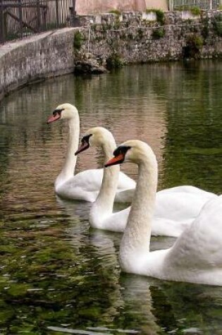 Cover of Three White Swans in a Row in a Rome, Italy Fountain Journal