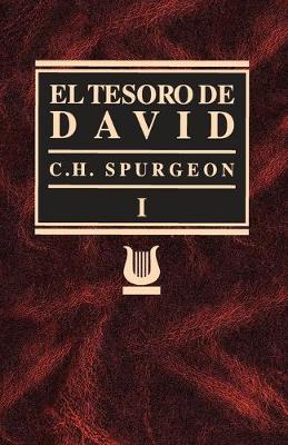 Book cover for Tesoro de David Volumen I