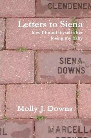 Cover of Letters to Siena