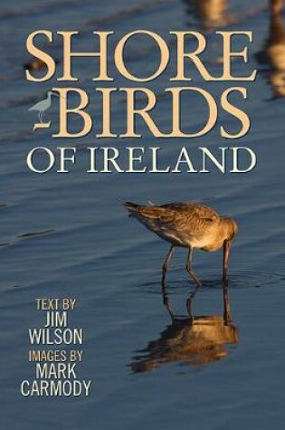 Cover of Shorebirds of Ireland