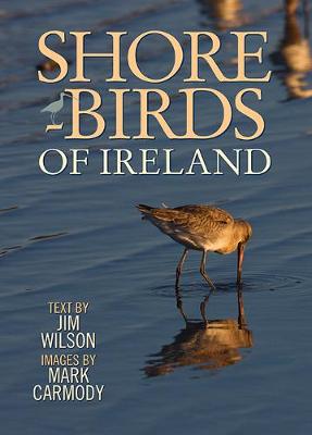 Book cover for Shorebirds of Ireland