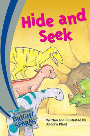 Cover of Bright Sparks: Hide and Seek