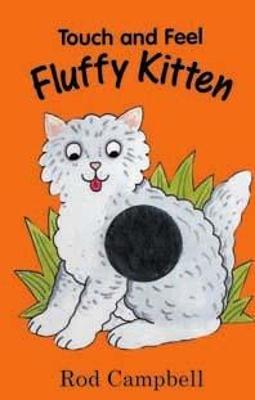 Book cover for Fluffy Kitten (HB)