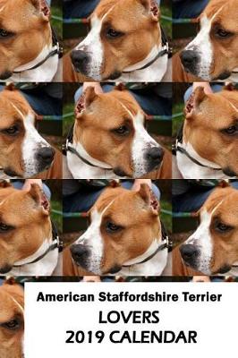 Book cover for American Staffordshire Terrier Lovers 2019 Calendar