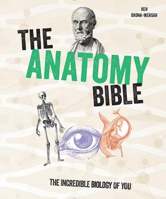 Book cover for The Anatomy Bible