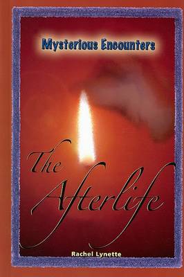 Cover of The Afterlife