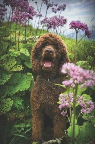 Cover of Happy Brown Standard Poodle Journal
