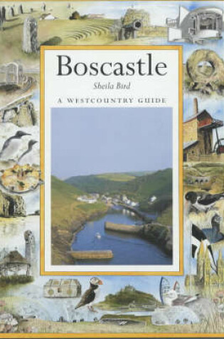 Cover of Boscastle