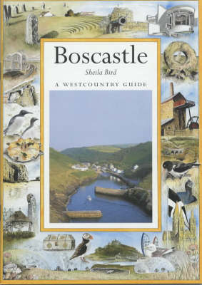 Book cover for Boscastle