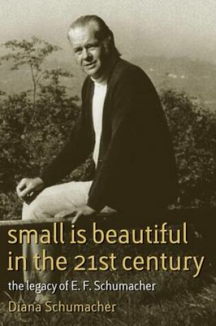 Cover of Small Is Beautiful in the 21st Century