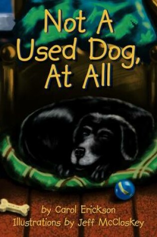 Cover of Not A Used Dog, At All