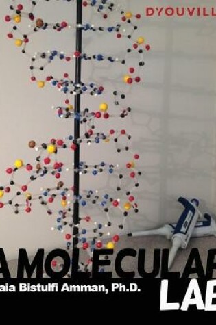 Cover of A Molecular Lab On Ground