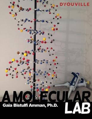 Book cover for A Molecular Lab On Ground