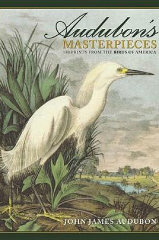 Cover of Audubon's Masterpieces