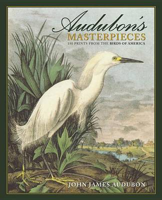 Book cover for Audubon's Masterpieces