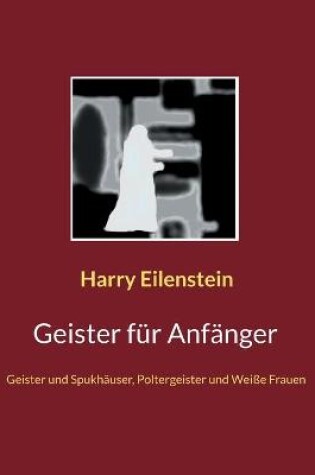 Cover of Geister fur Anfanger