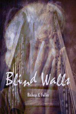 Book cover for Blind Walls