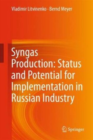 Cover of Syngas Production: Status and Potential for Implementation in Russian Industry