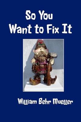 Book cover for So You Want to Fix It