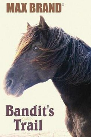 Cover of Bandit's Trail