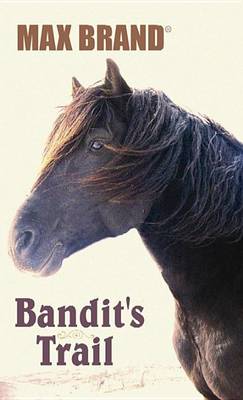 Book cover for Bandit's Trail
