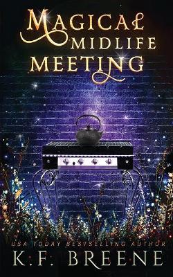 Cover of Magical Midlife Meeting