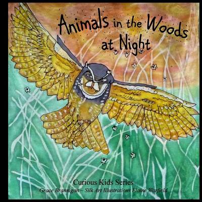 Cover of Animals in the Woods at Night