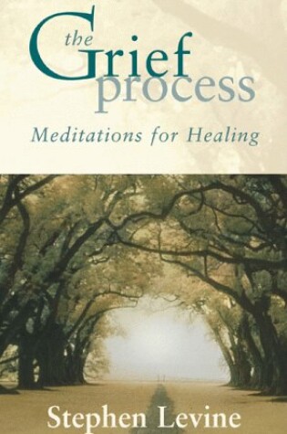 Cover of The Grief Process