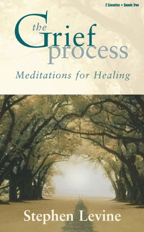 Book cover for The Grief Process