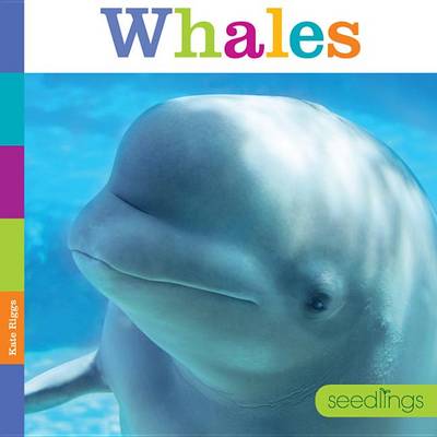 Cover of Seedlings Whales