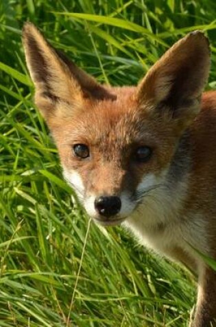 Cover of A Fox in the Grass, for the Love of Animals