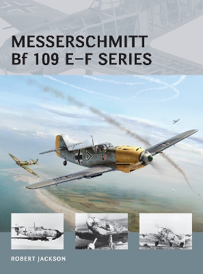 Book cover for Messerschmitt Bf 109 E-F series