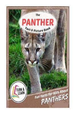 Book cover for The Panther Fact and Picture Book