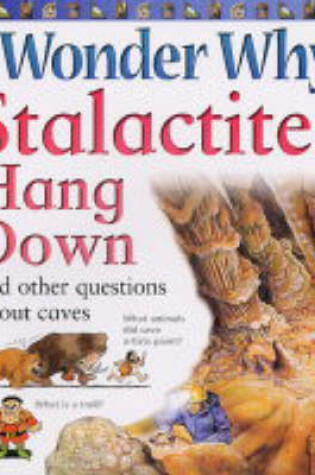 Cover of I Wonder Why Stalactites Hang Down and Other Questions About Caves